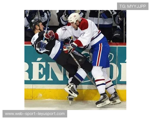 冰球新闻：外援加盟提高联赛竞技水平与观赏性，冰球联赛nhl