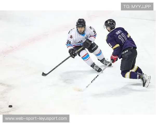 冰球新闻：外援加盟提高联赛竞技水平与观赏性，冰球联赛nhl