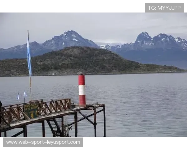 涉墨美碧根果，商务部启动反倾销程序：在贸易风暴中寻找稳定之路