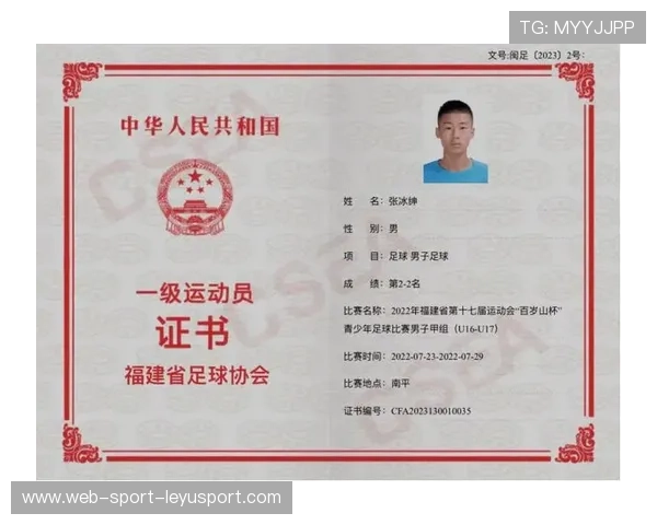 世界足球技术官员在线培训证书颁发与查询平台，足球运动员技术等级查询