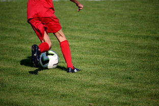 Leyu Sport登录入口-CBA球队完善伤病防护体系保障运动员健康和职业生涯，cba球员伤情报告